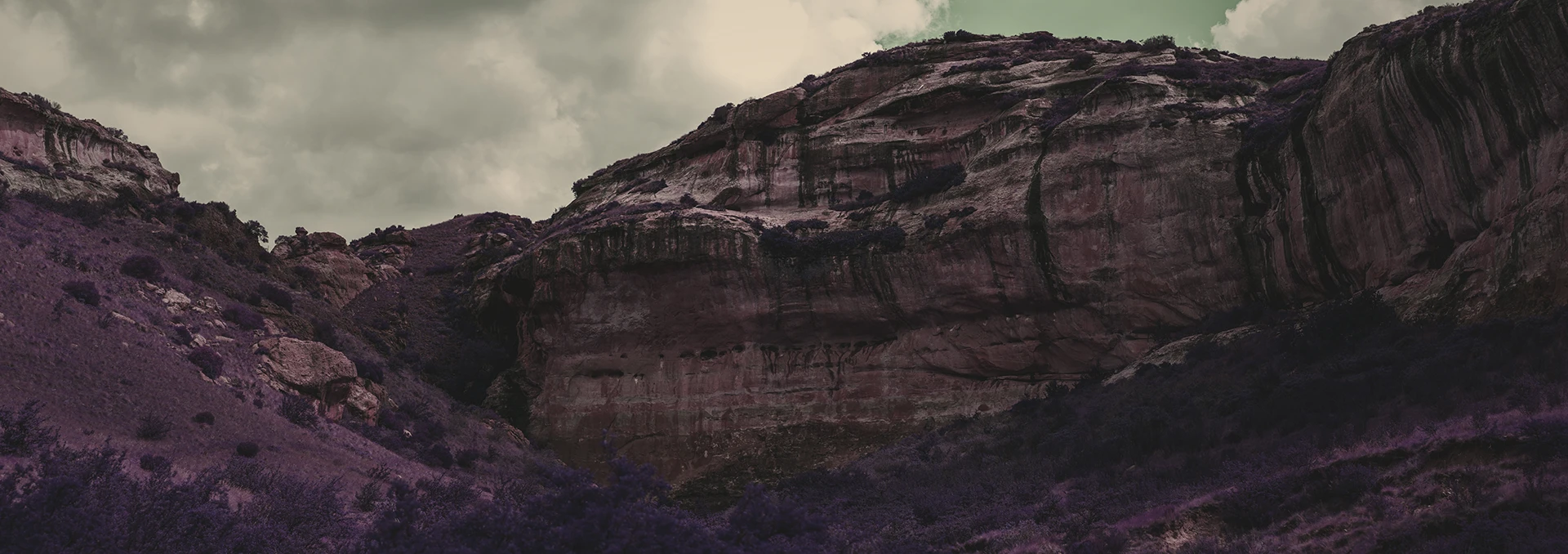 dehancer graded photograph after