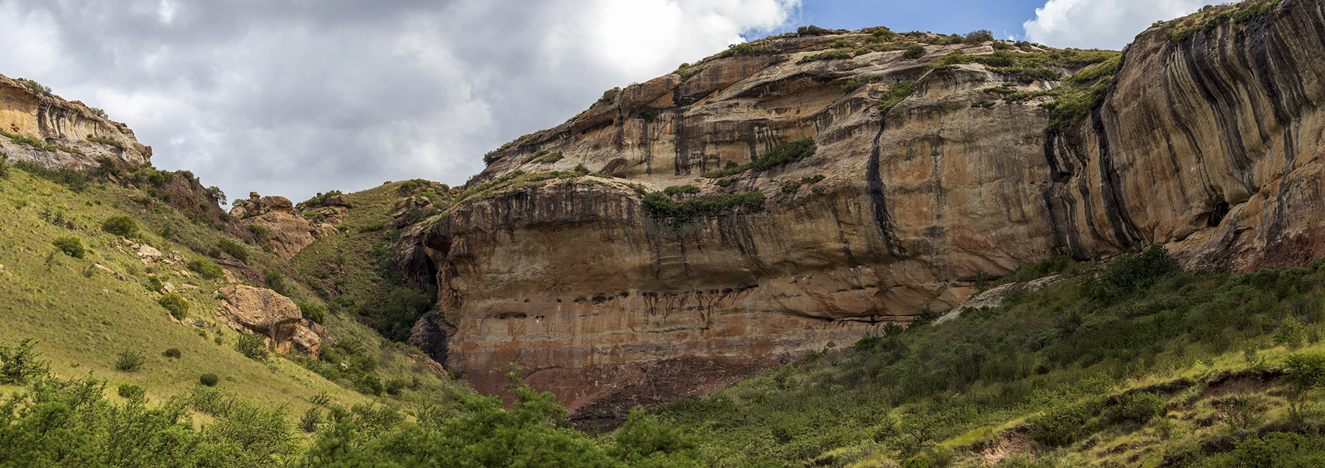 dehancer graded photograph before