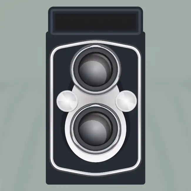 20251119 114813 Vintagetwinlensreflexcamera